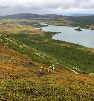 Rocks, pebbles and mountain tops - my first marathon