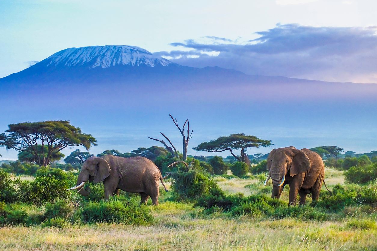 Marathon Races in Kenya World's Marathons