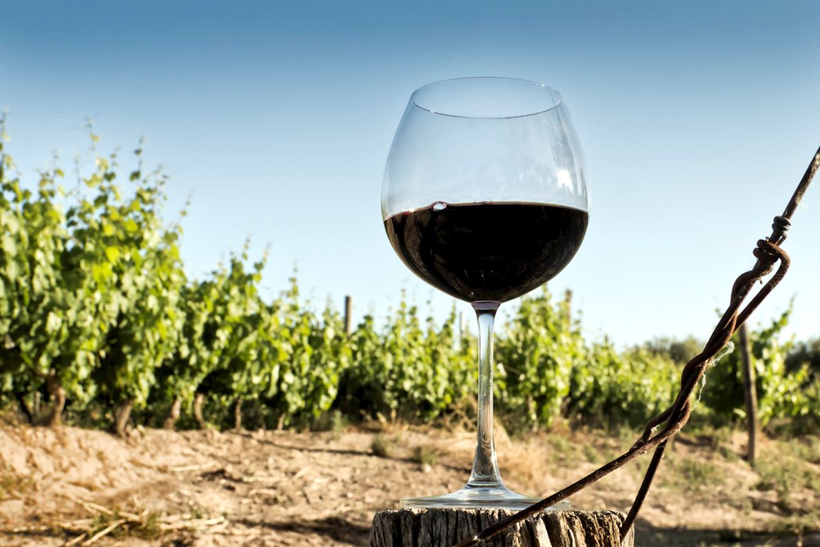 Wine Runs Guide World's Marathons