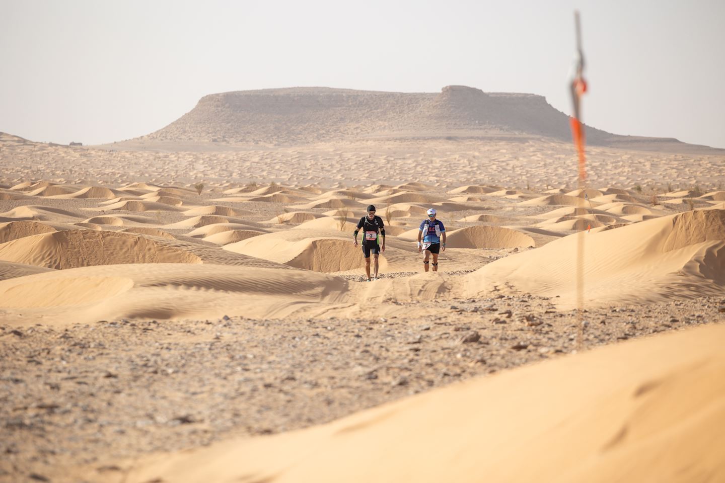 100 km del sahara