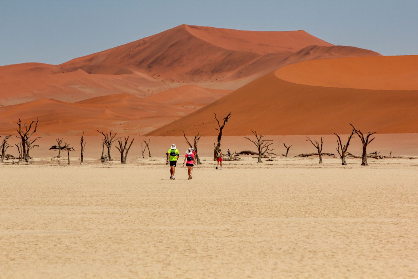 100km of namib desert