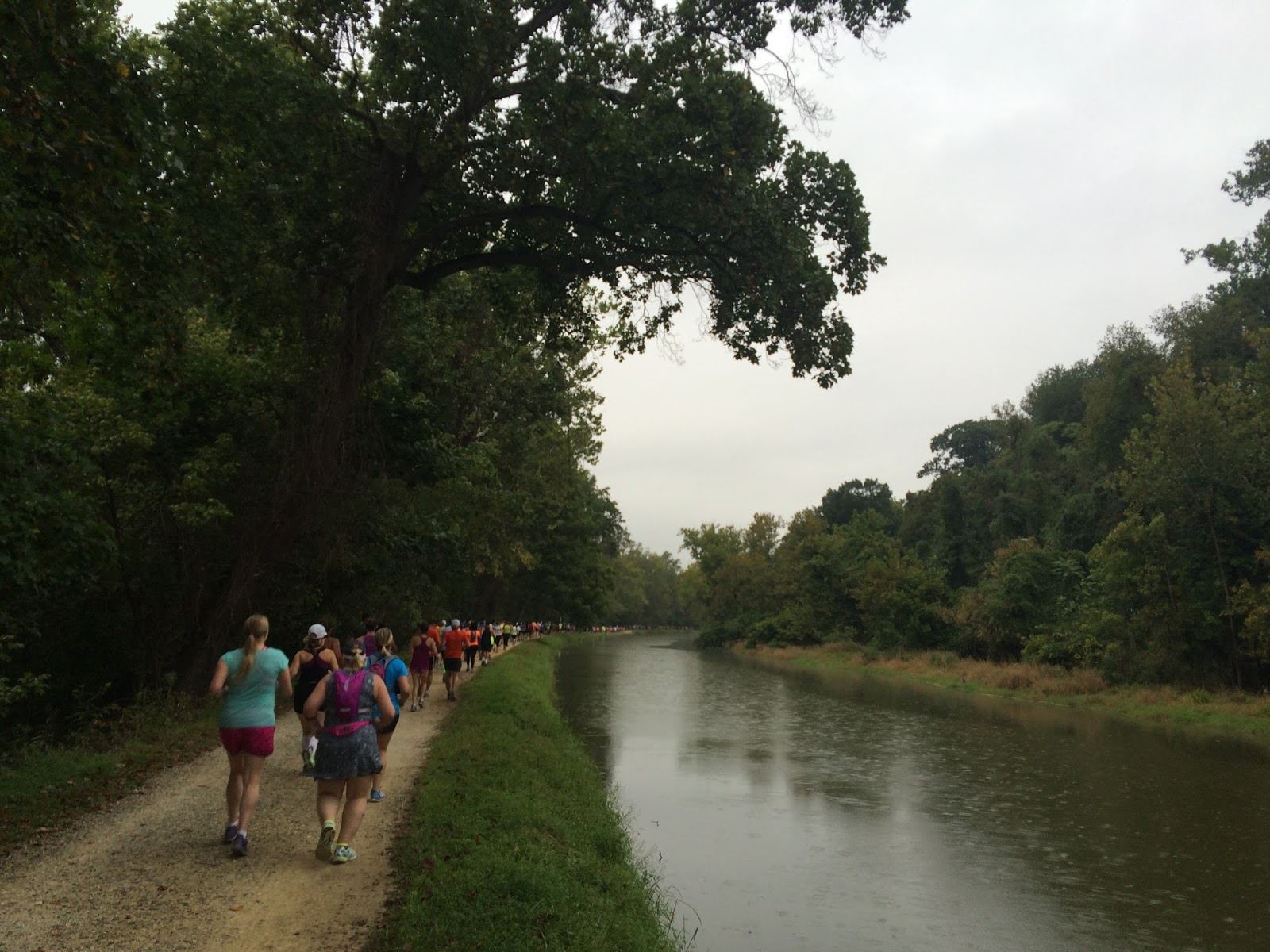 abebe bikila day international peace marathon