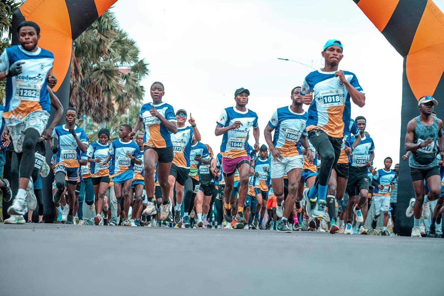 academia fun run