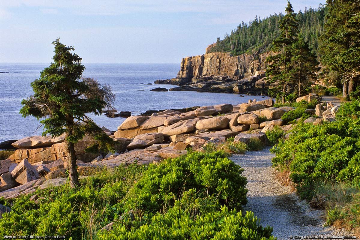 acadia half marathon