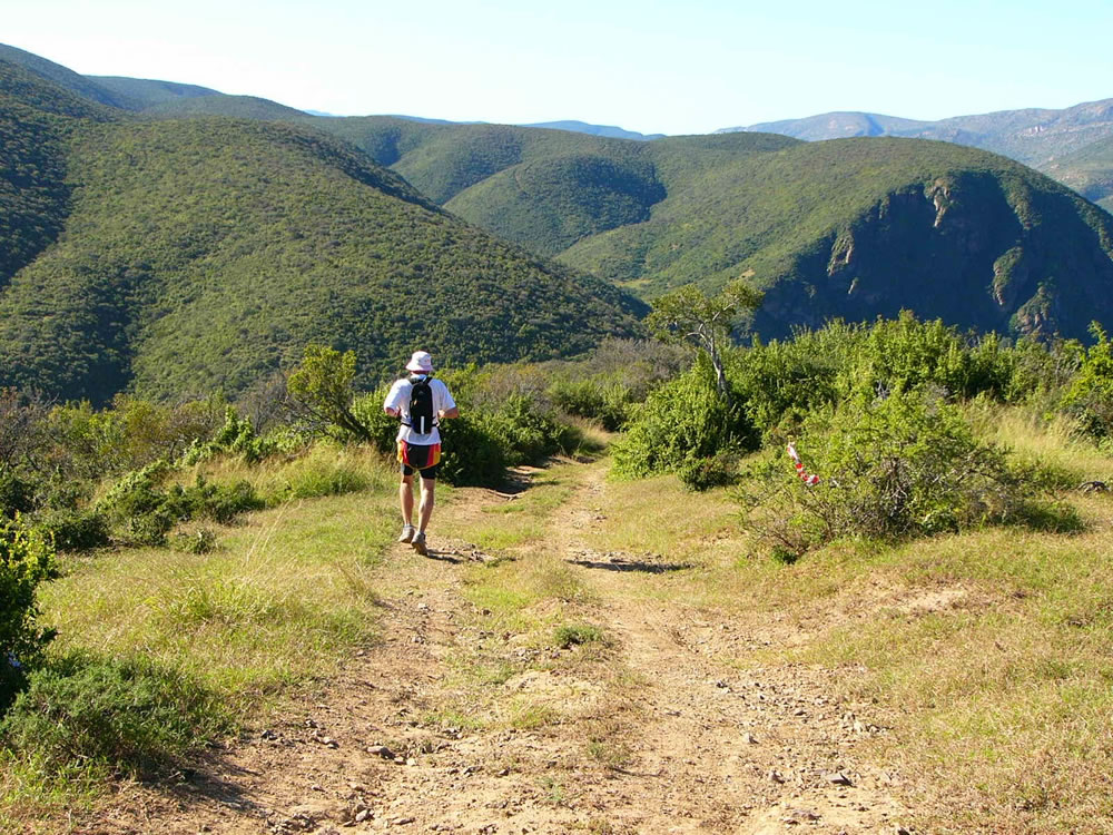 addo elephant trail run