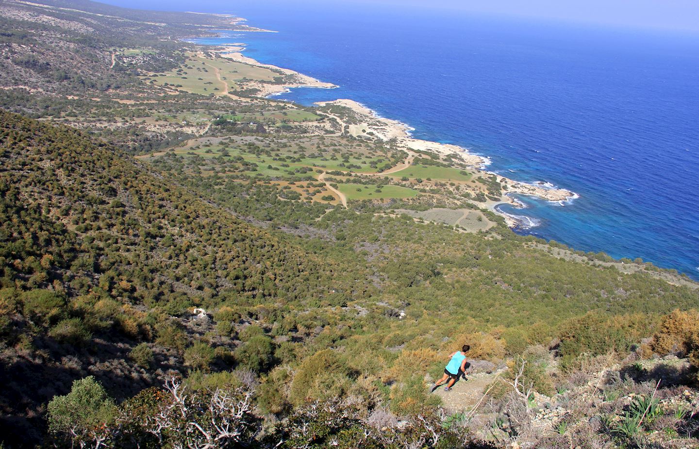 akamas blossom trail running festival