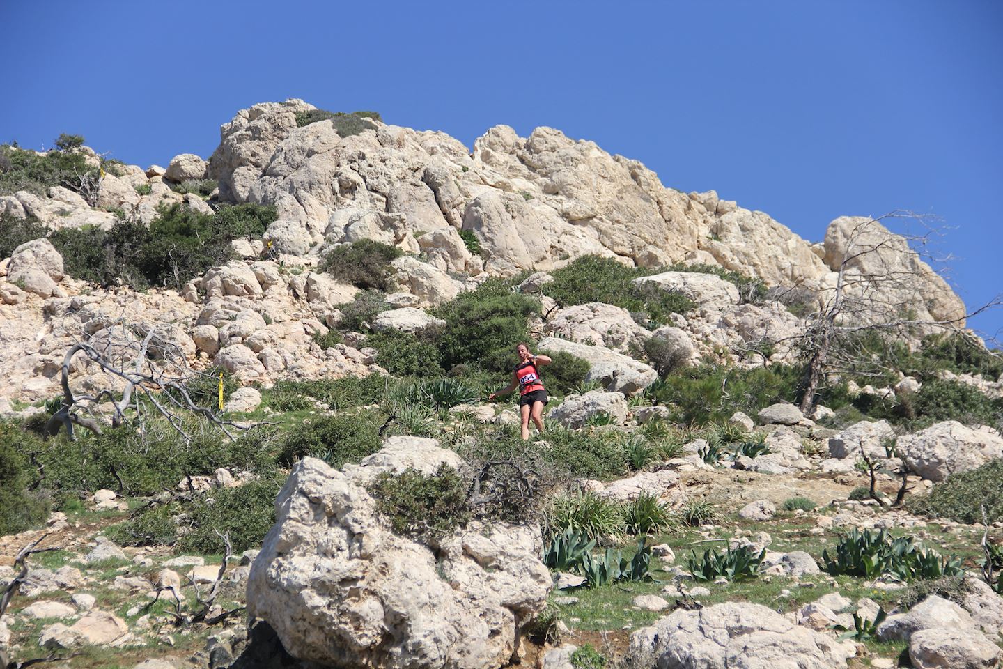 akamas blossom trail running festival