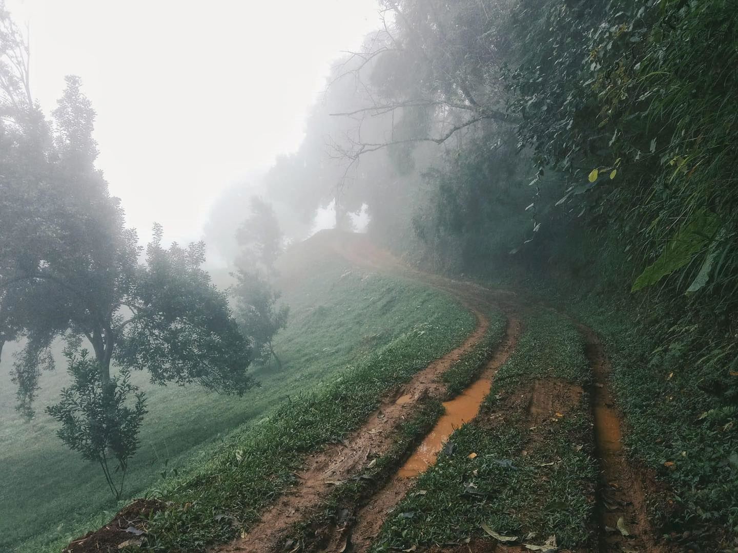akha trail