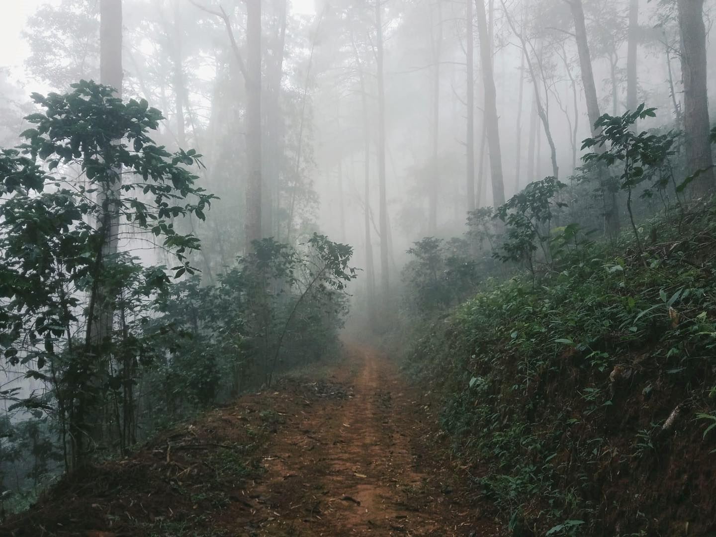 akha trail