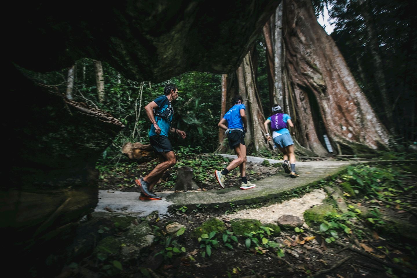 Amazean Jungle Thailand by UTMB, 0305 May 2024 World's Marathons