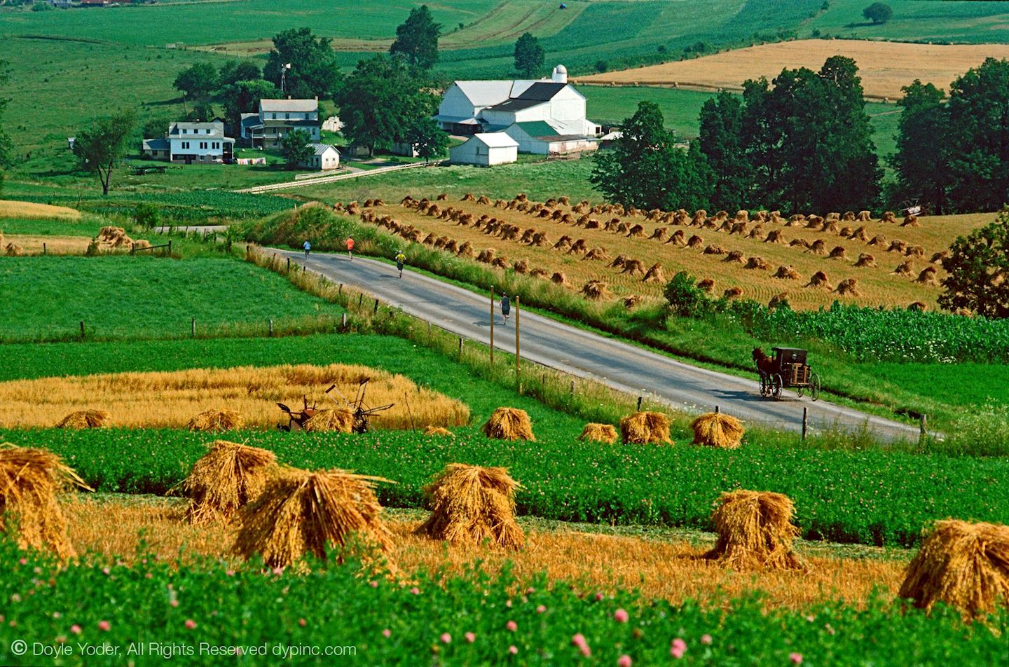 amish country half marathon