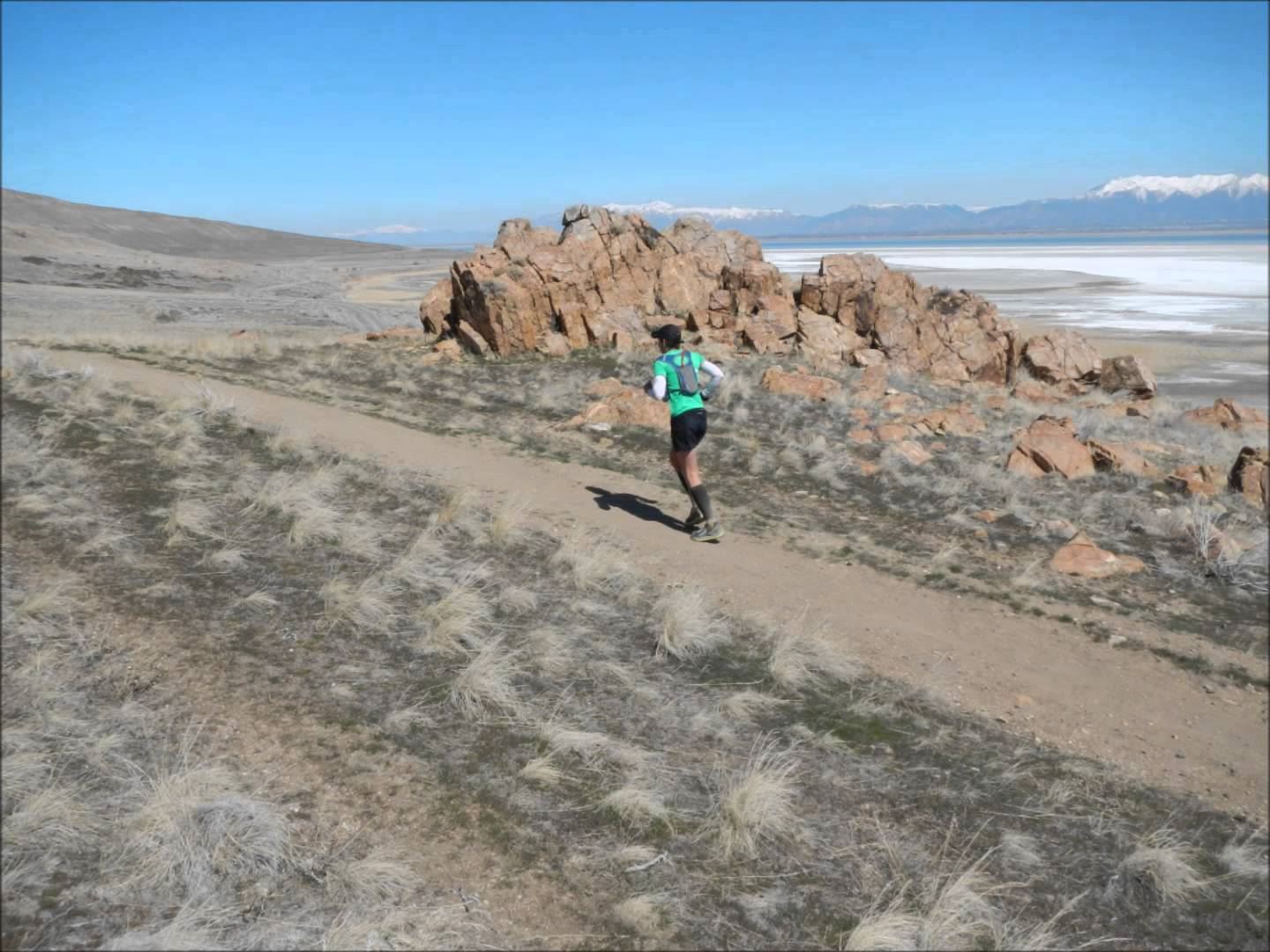 antelope island buffalo run 100 miler