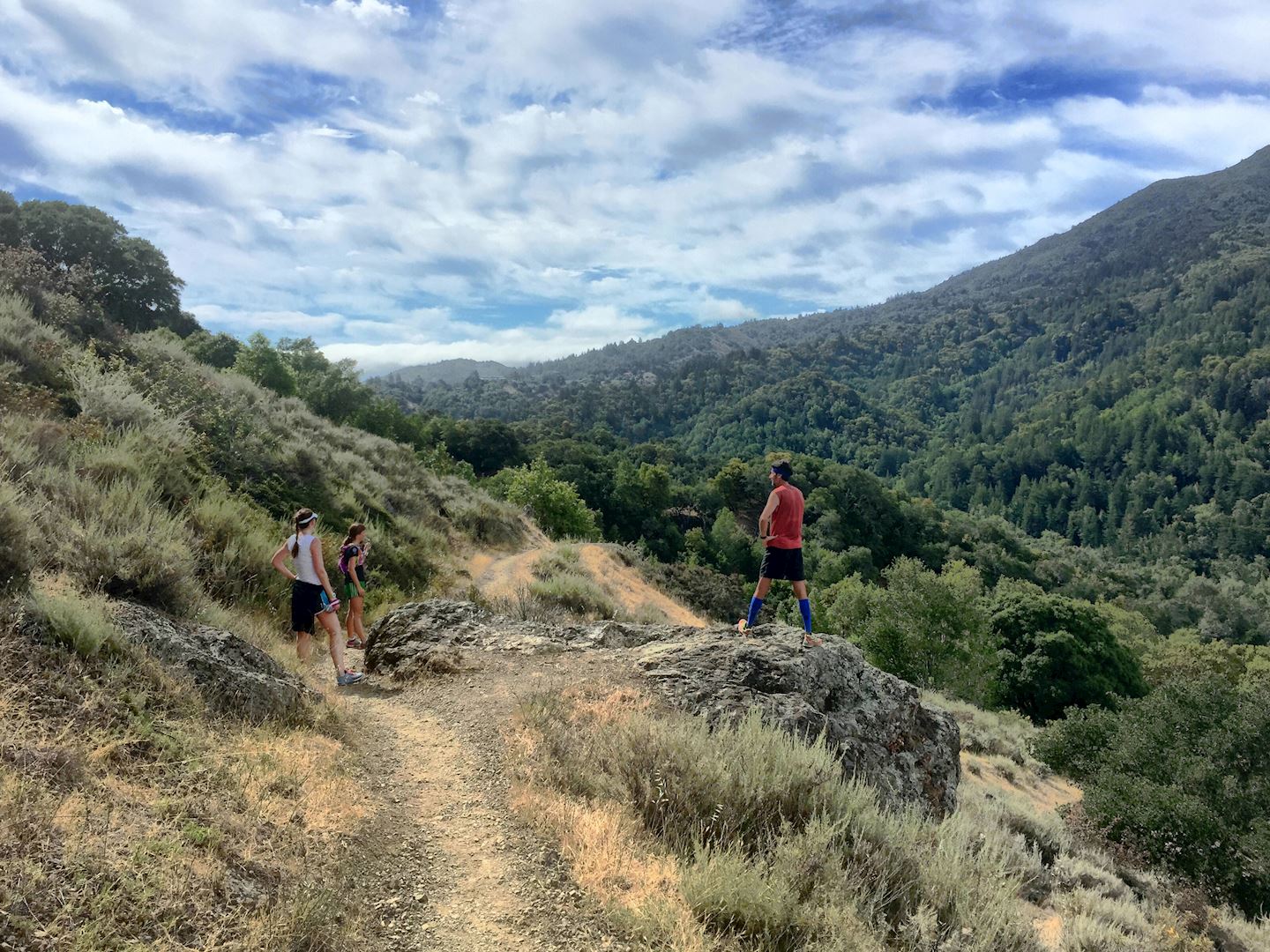 armstrong redwoods ultra