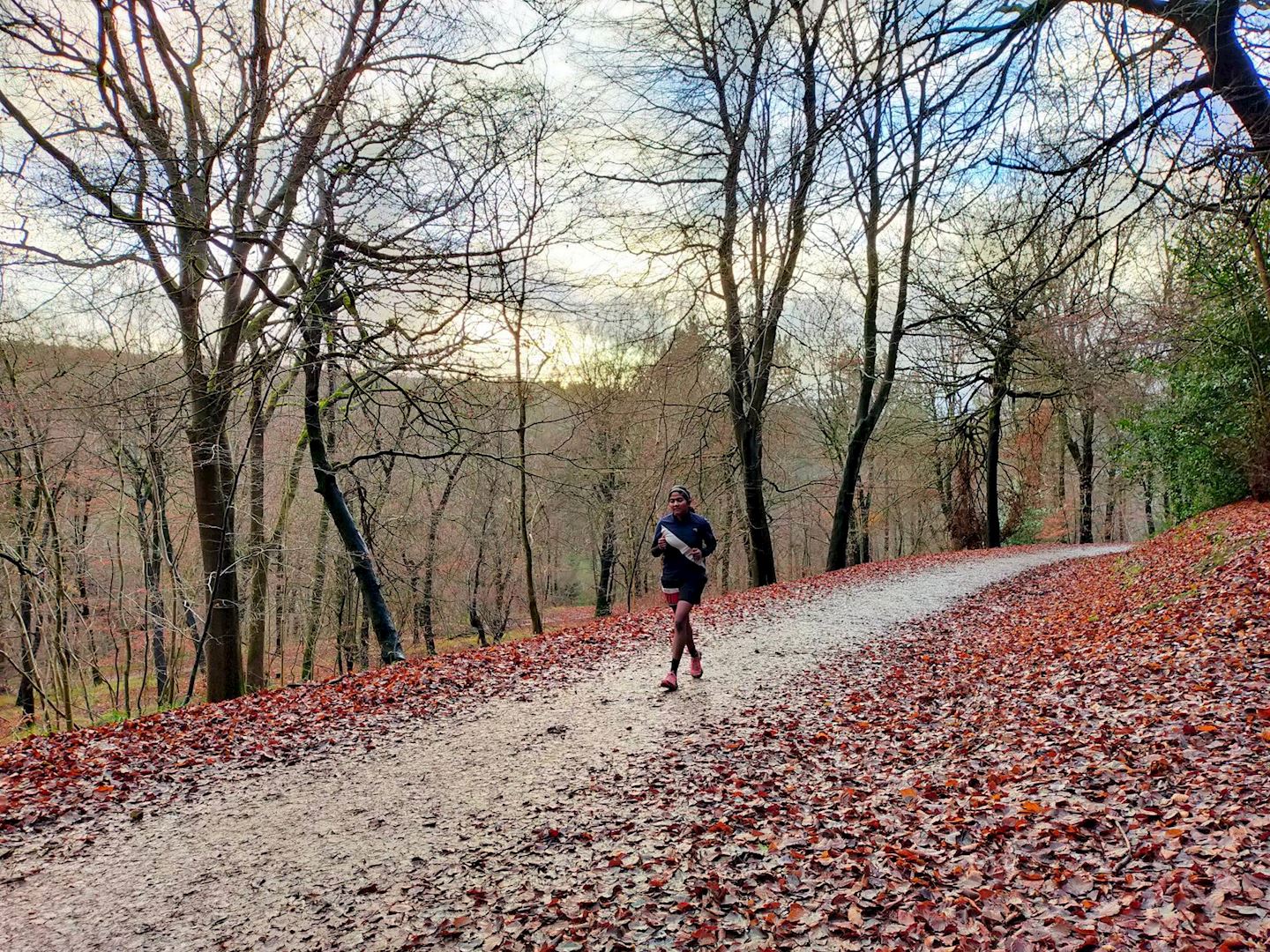 atw wendover woods trail run canicross