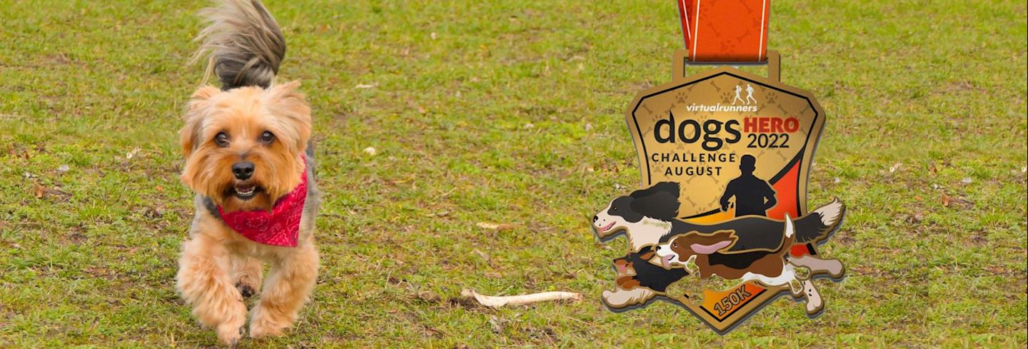 august dogs hero challenge