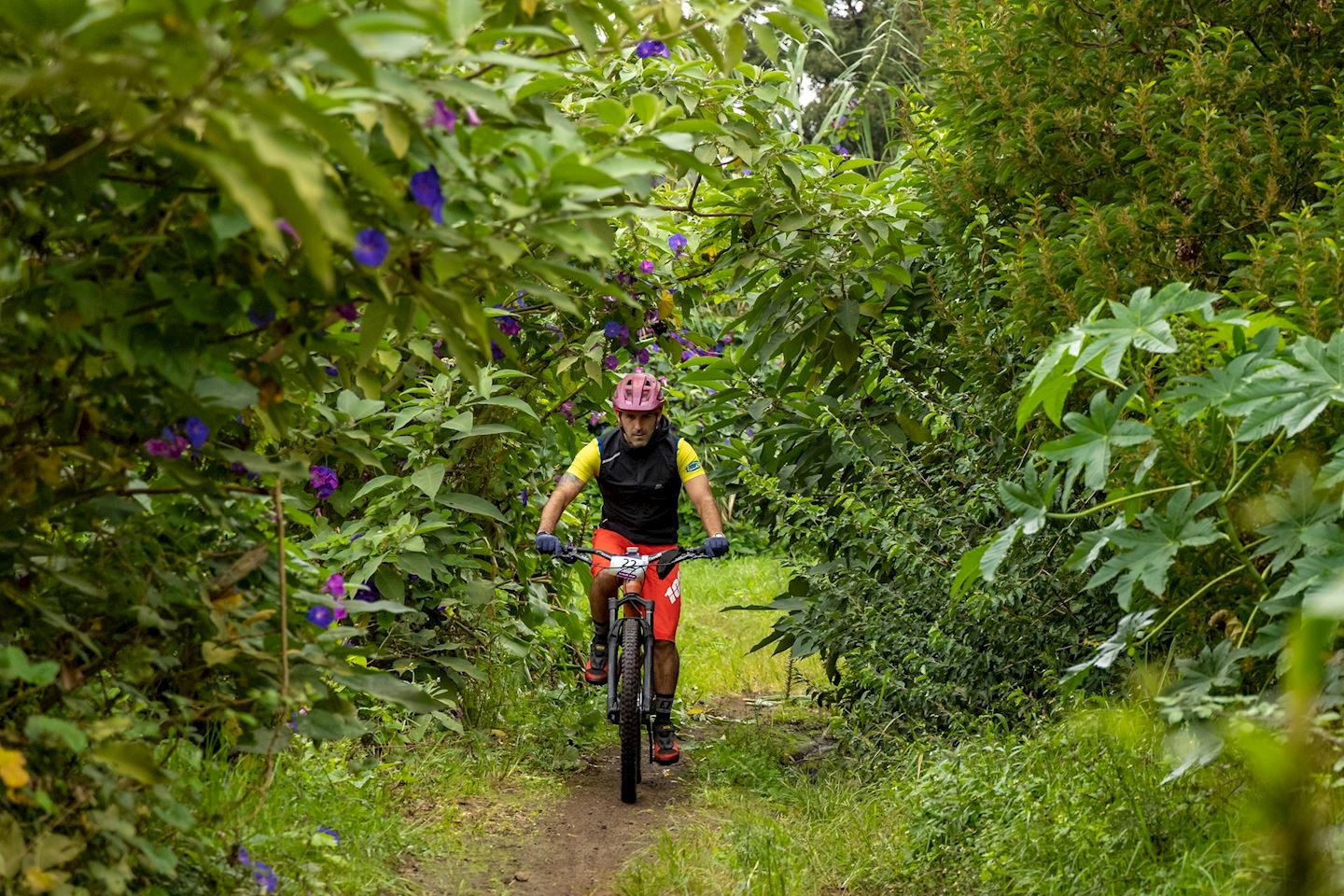 azores challenge experience mtb