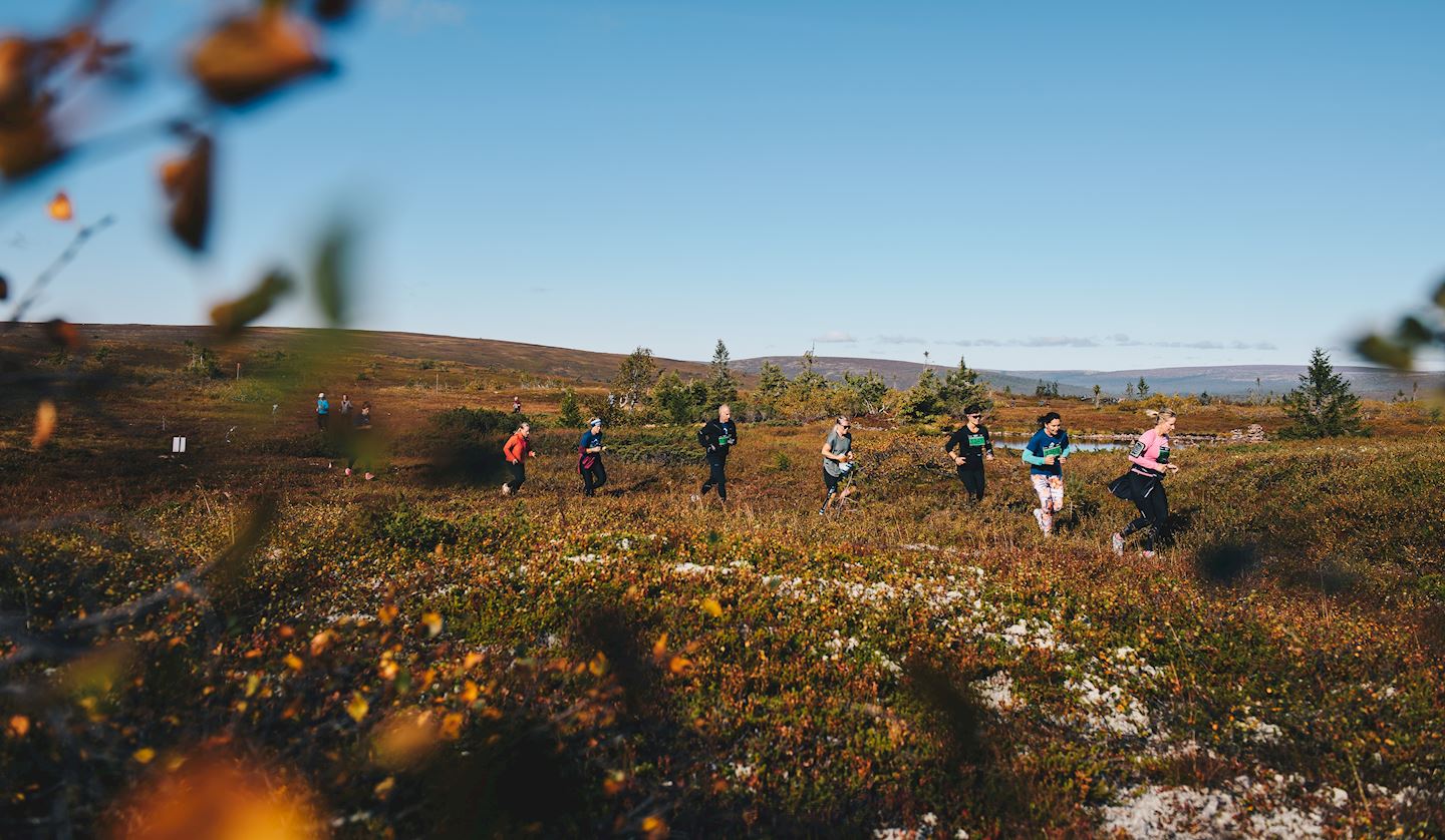 bagheera fjallmarathon salen