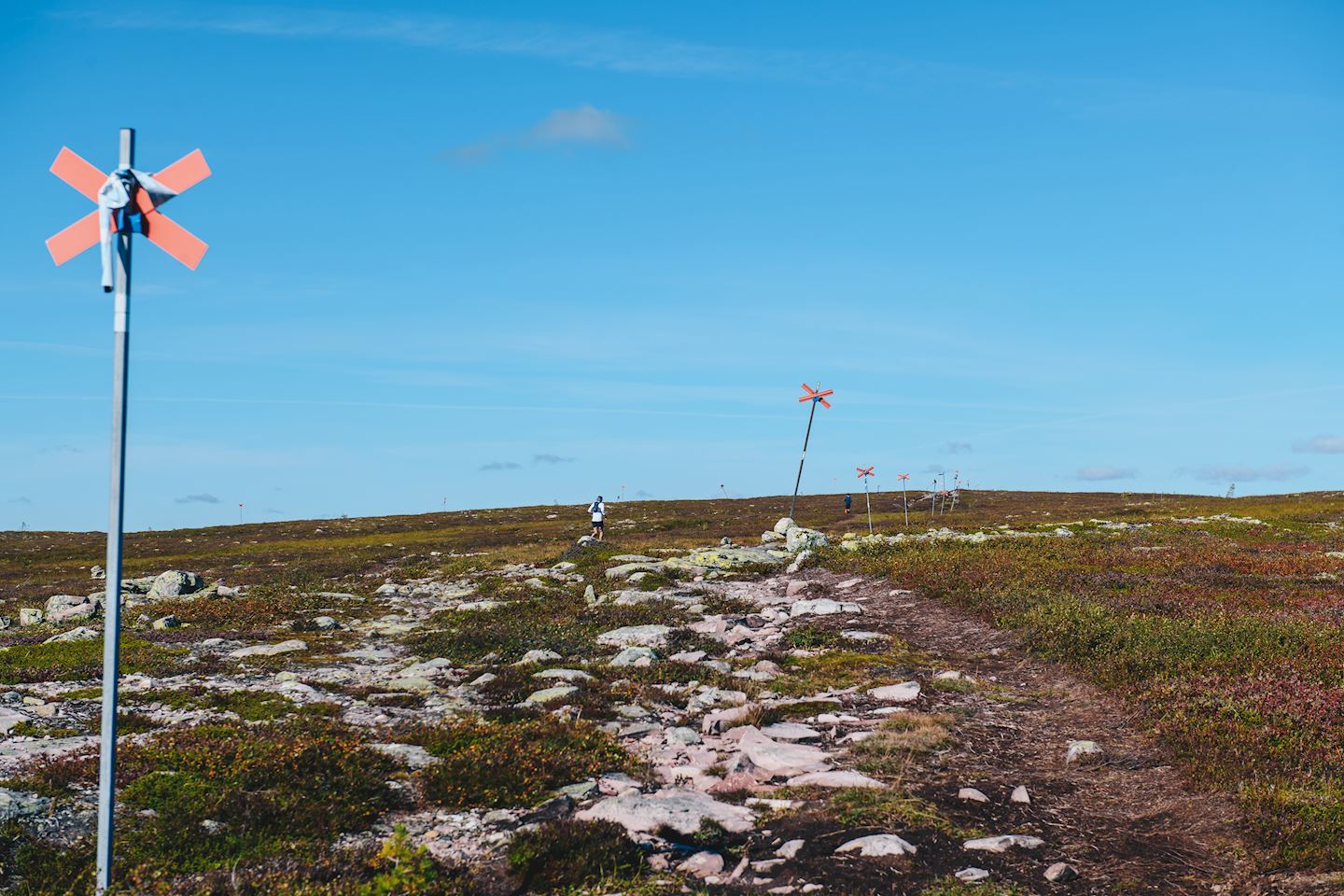 bagheera fjallmarathon salen