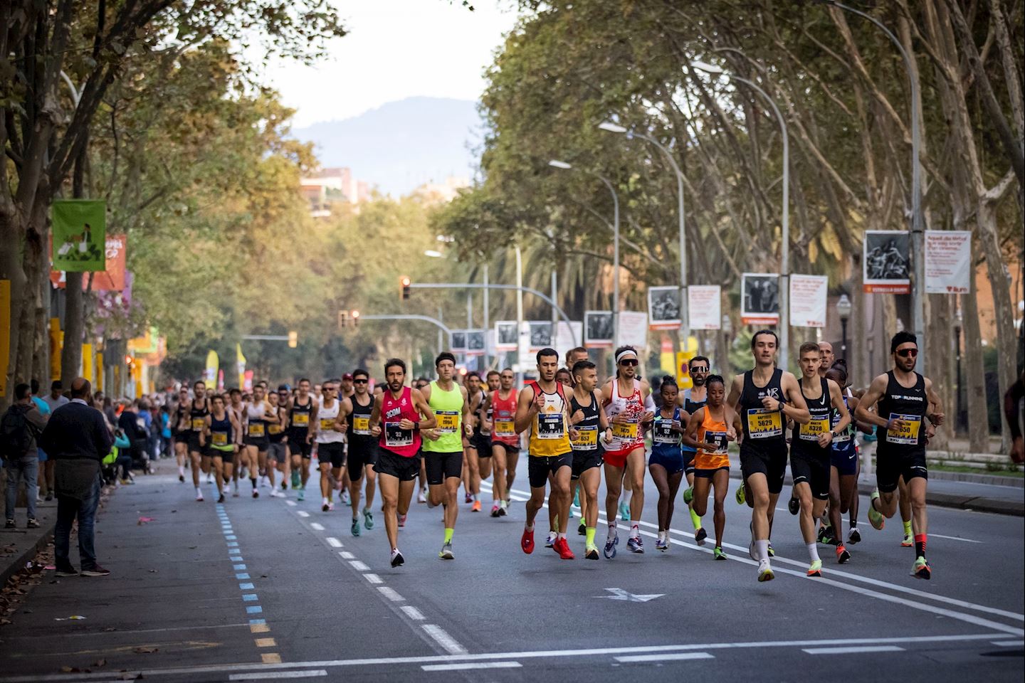 Spain Half Marathons 2024 Avis Kameko