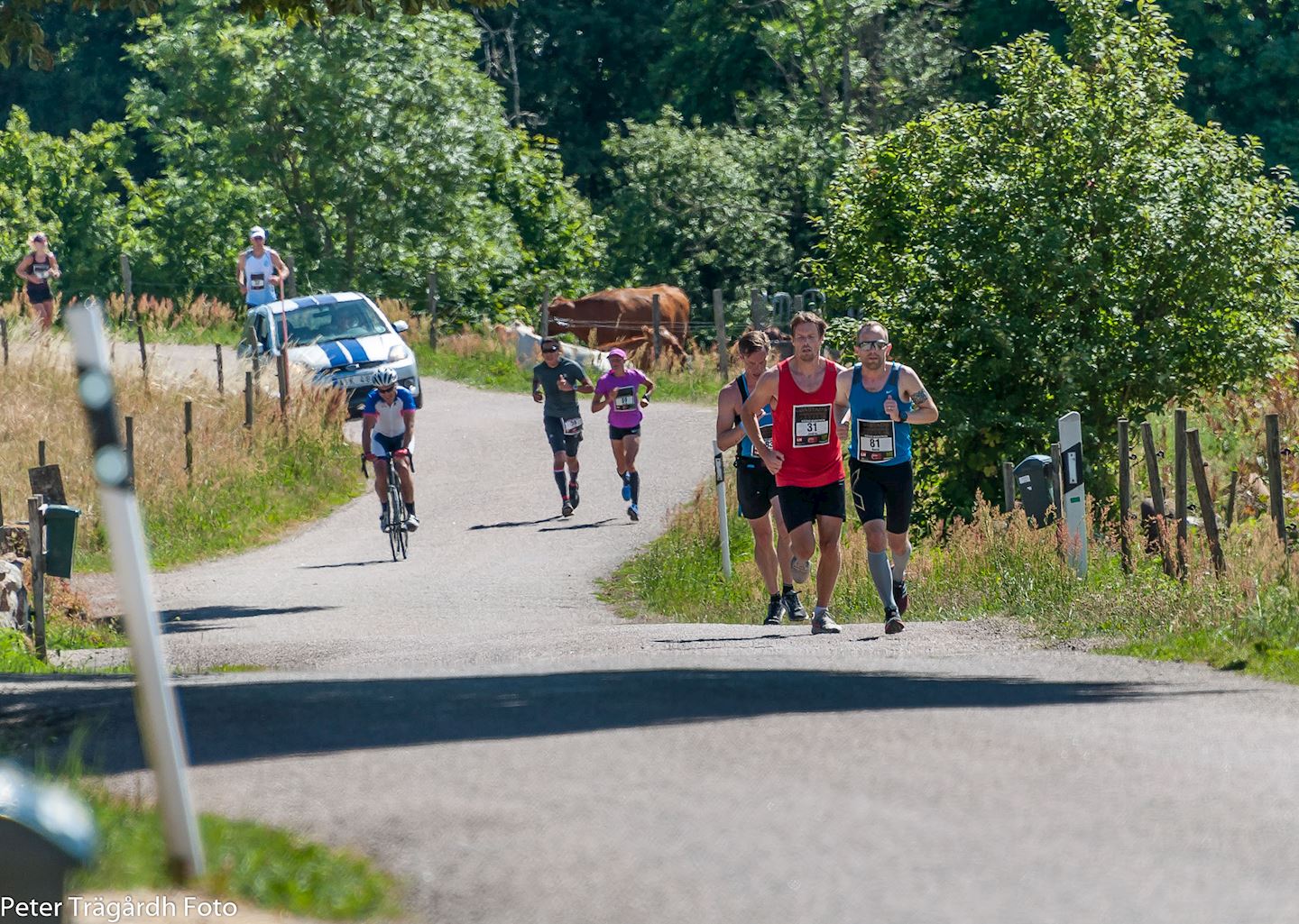 bastad marathon