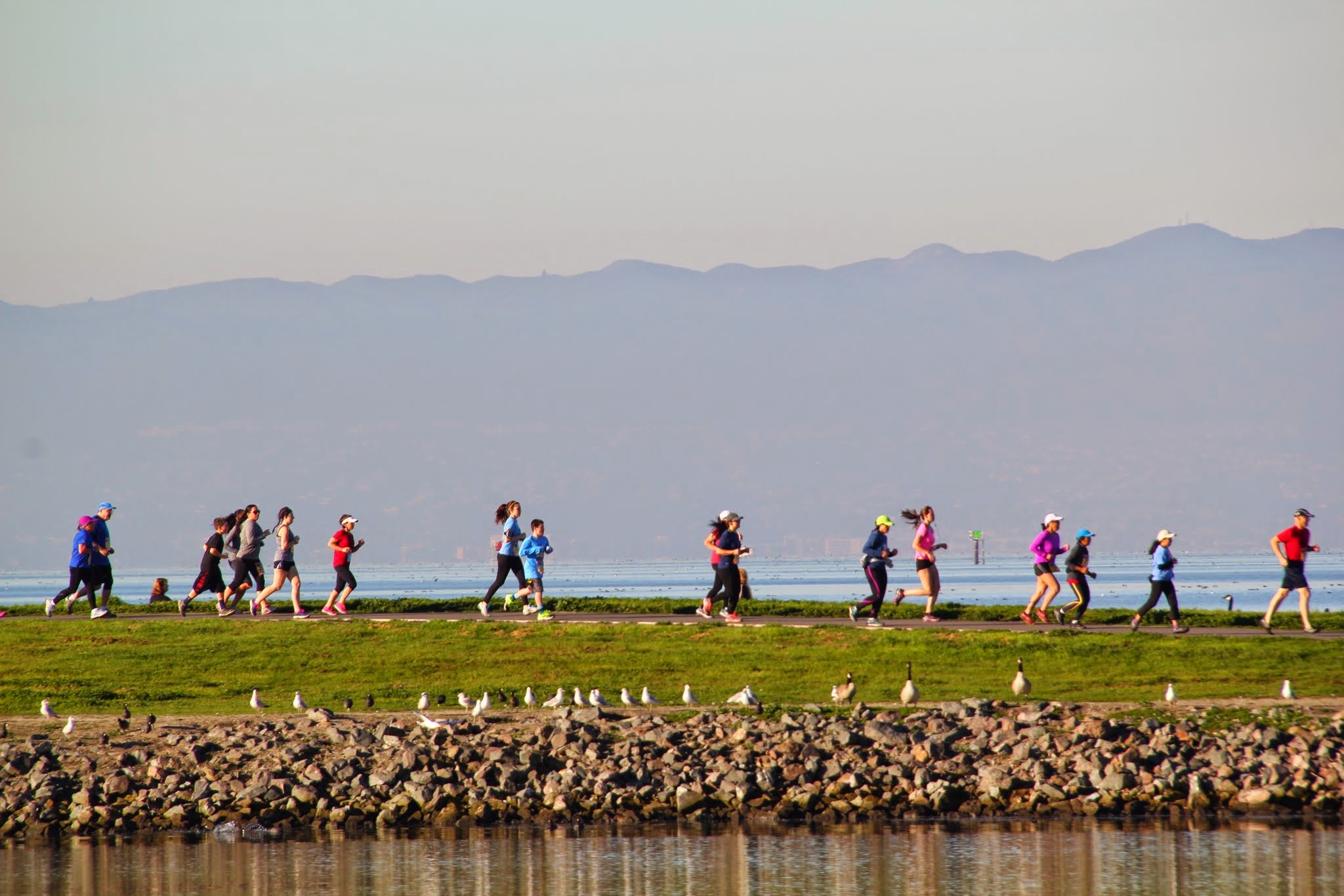 bay breeze half marathon