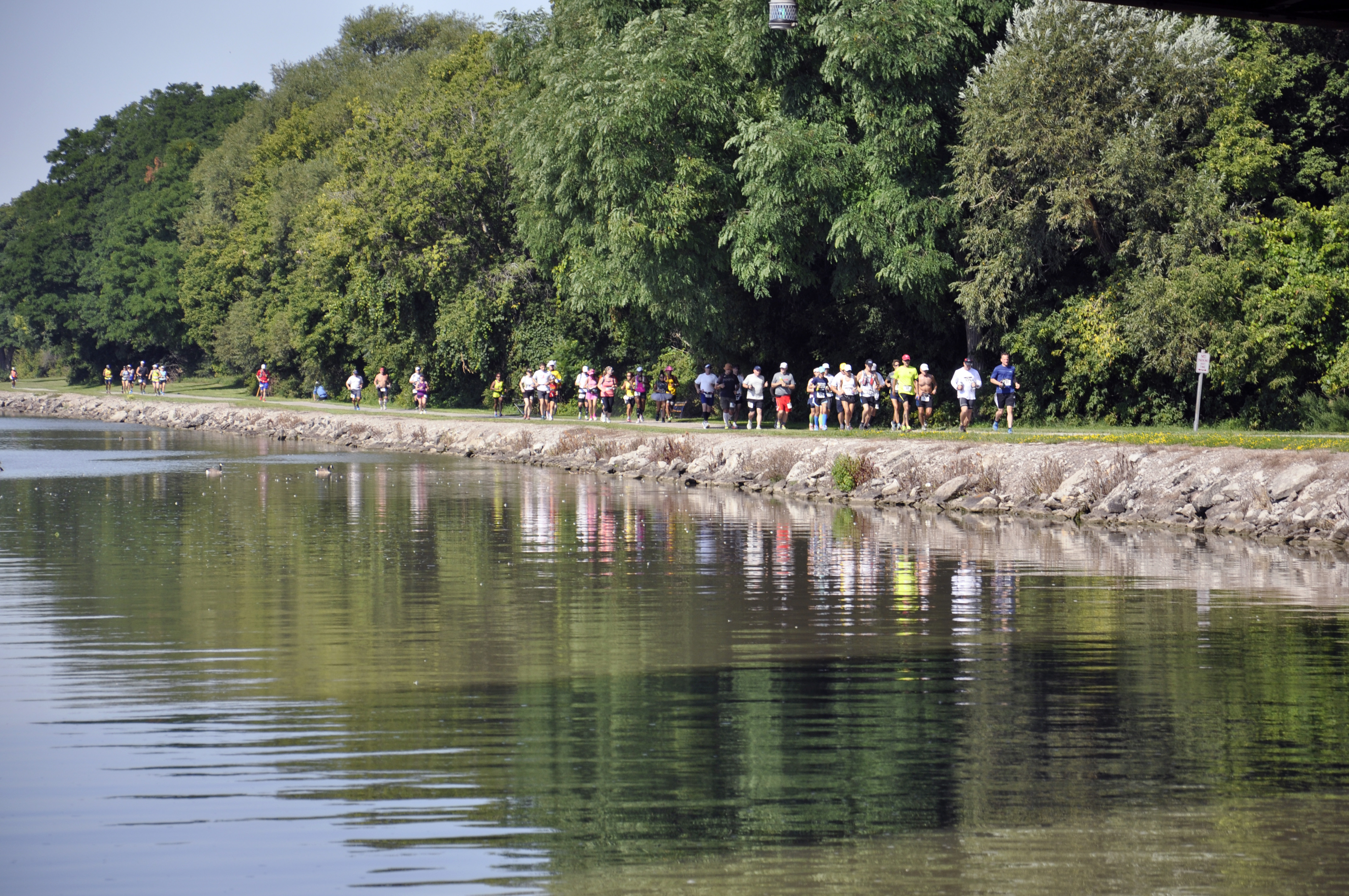 beast of burden 50 miles summer 