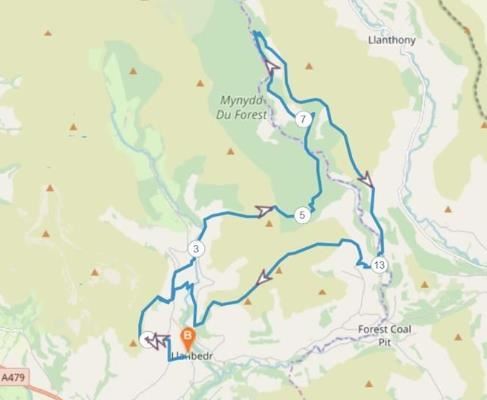 Beast of the Blacks Ultra 40 mi plus 20 & 10 mile  Mappa del percorso