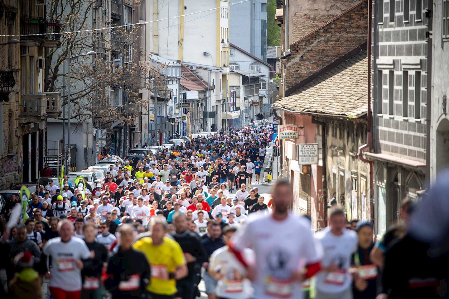 belgrade city marathon