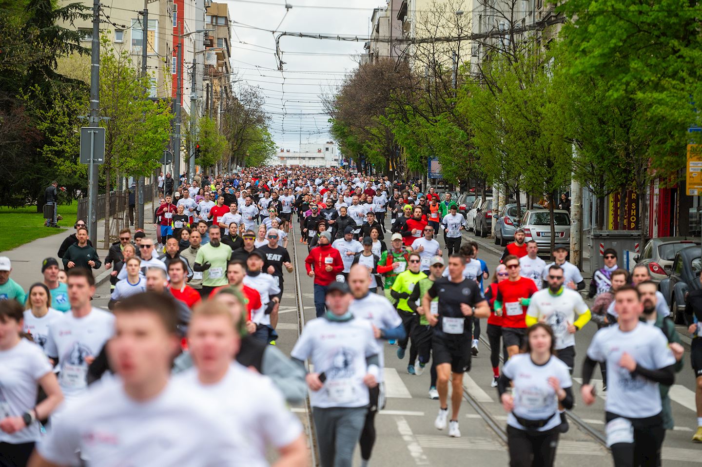 belgrade city marathon