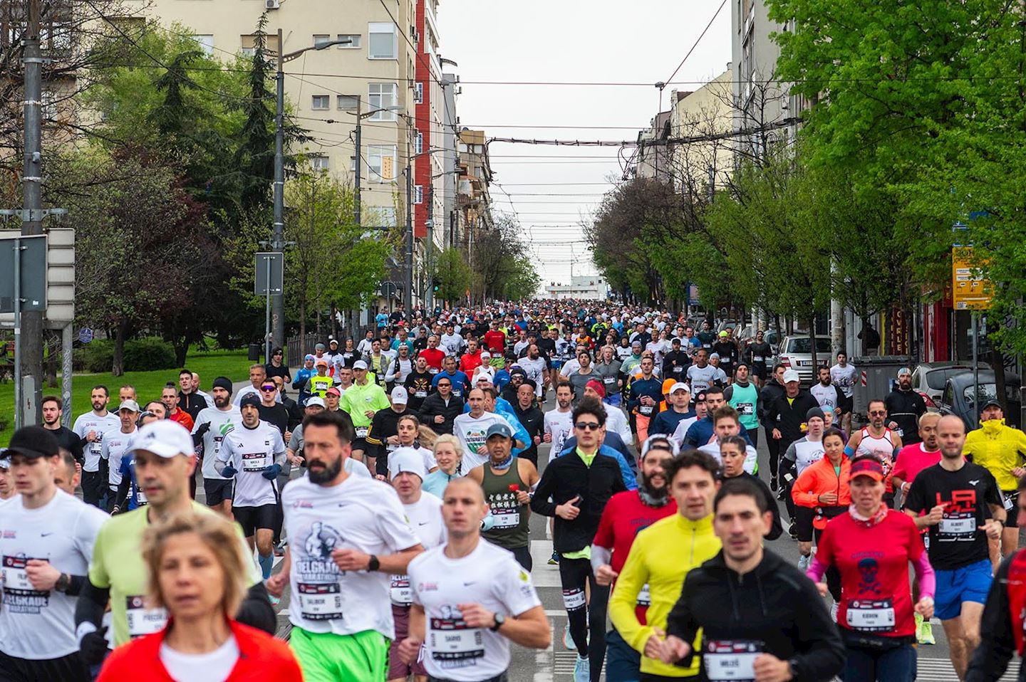 belgrade city marathon
