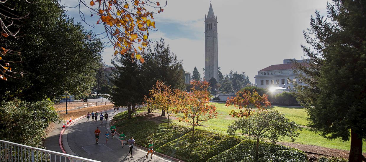 berkeley half marathon