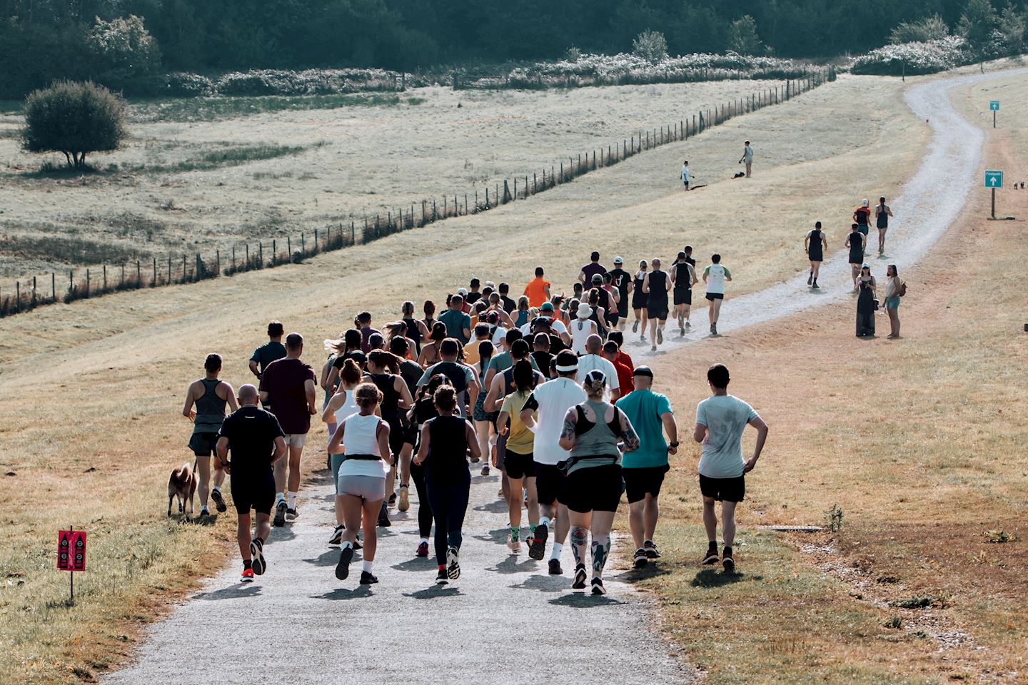 bewl water 10km half marathon marathon ultra 50km