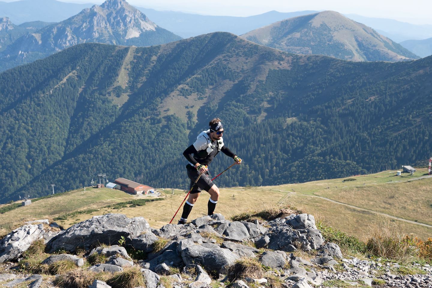 big bears ultra