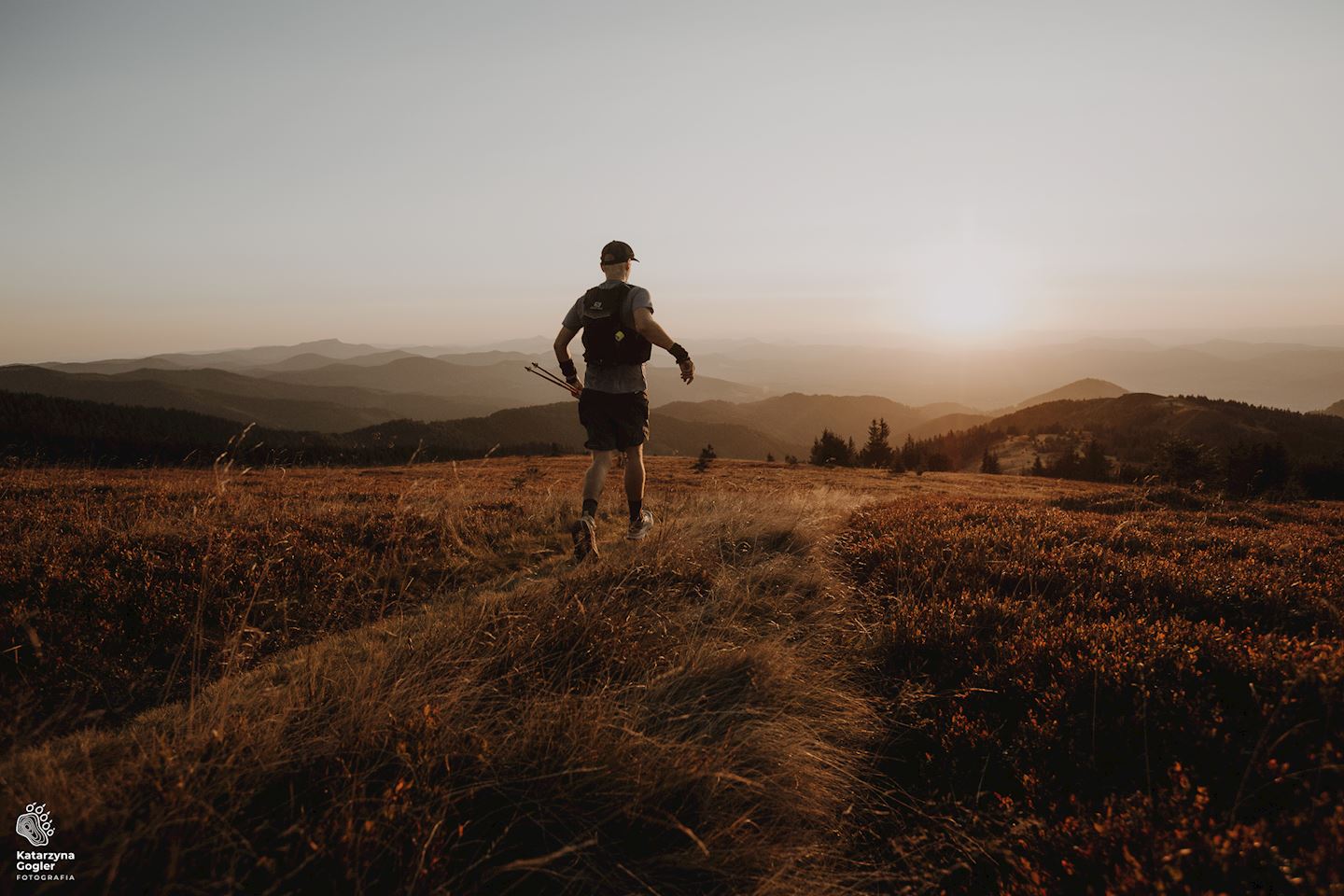 big bears ultra