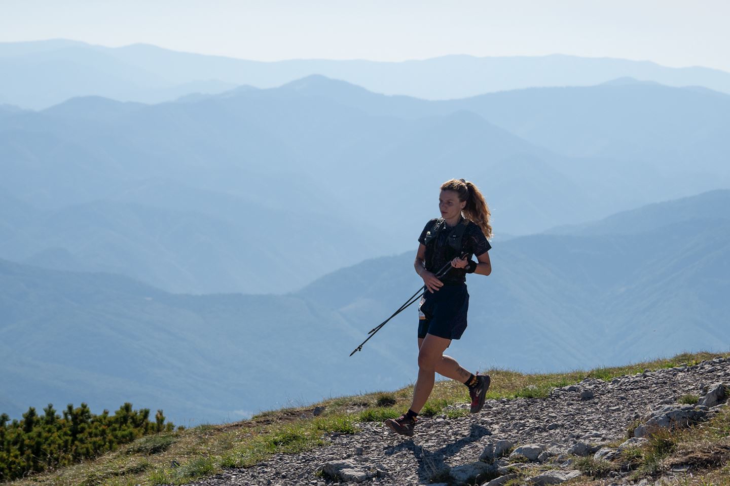big bears ultra
