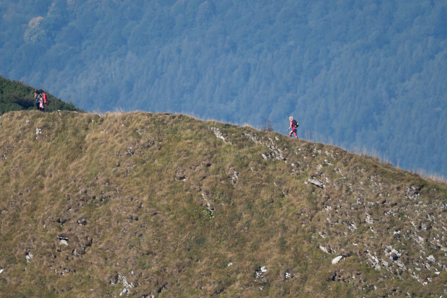 big bears ultra