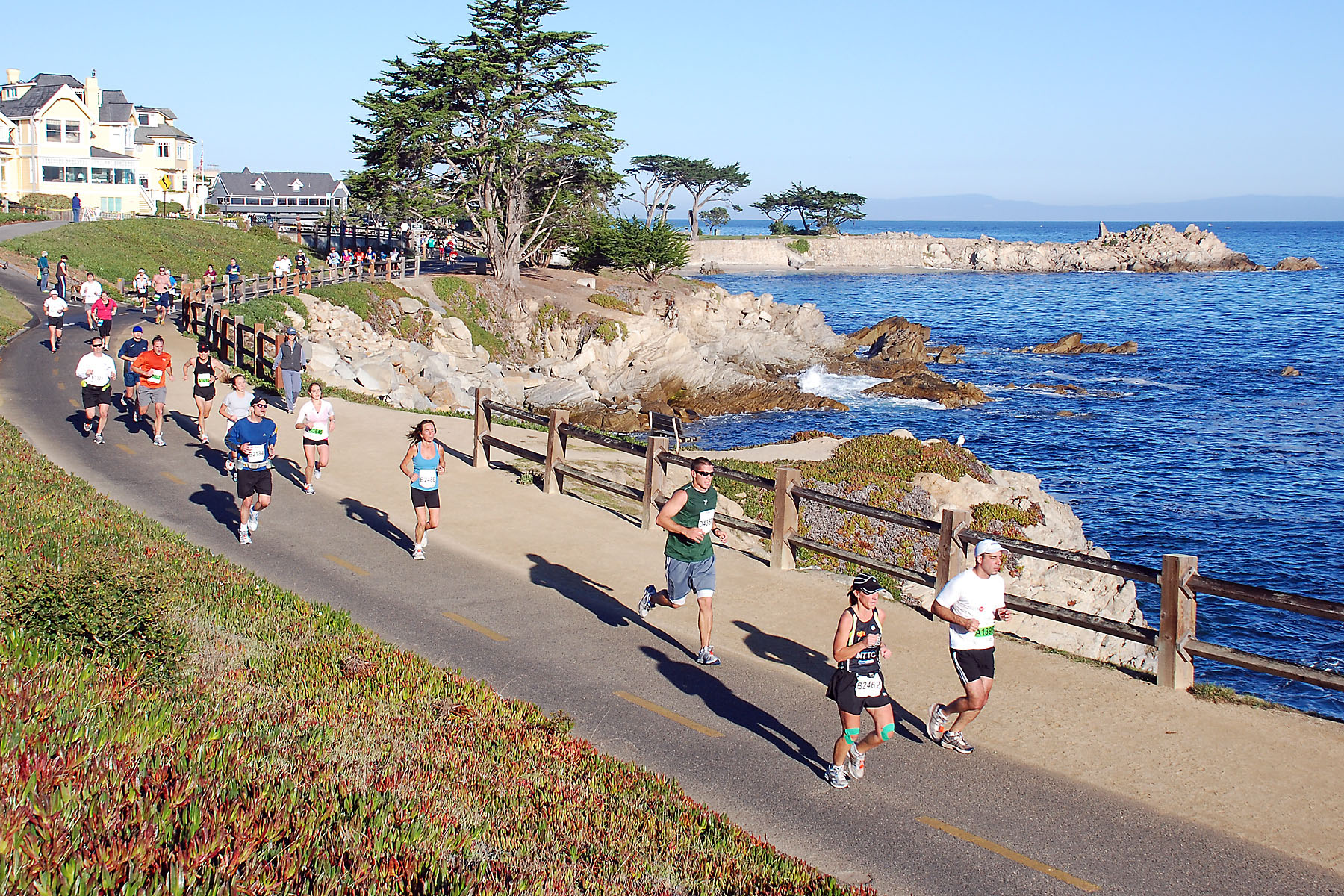 big sur half marathon