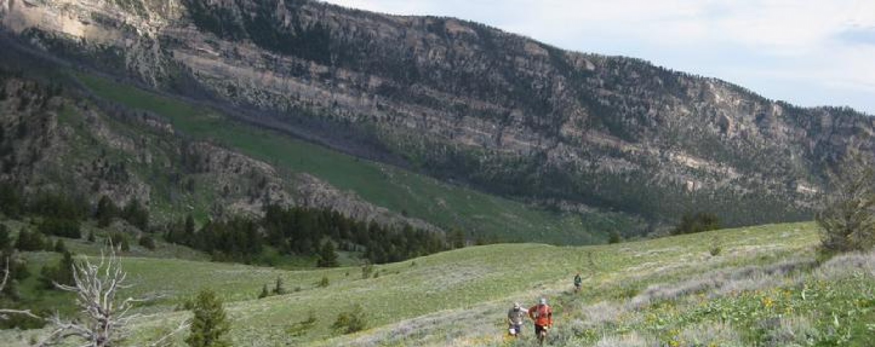 bighorn trail runs