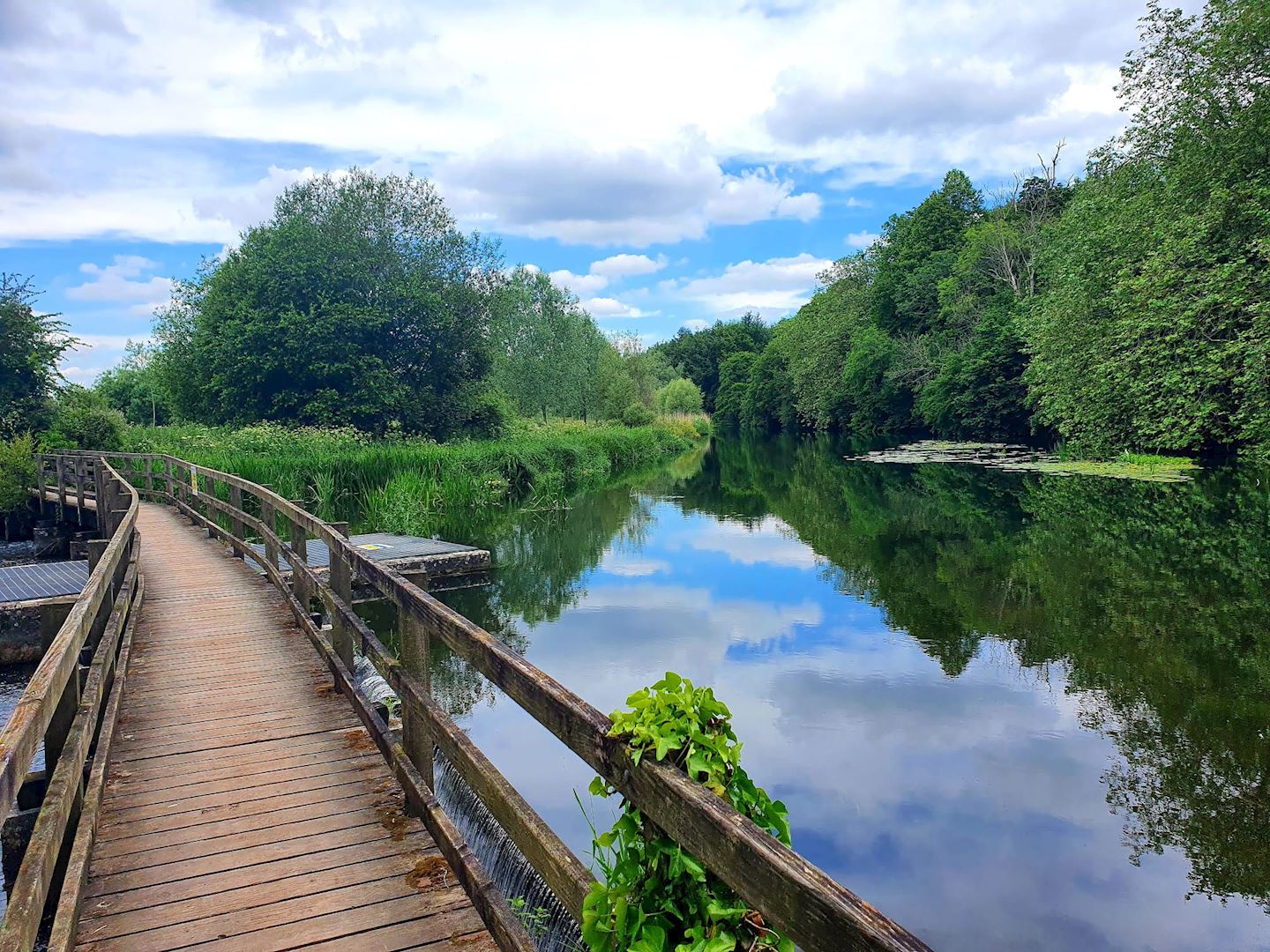 bigsky new forest marathon and ultra
