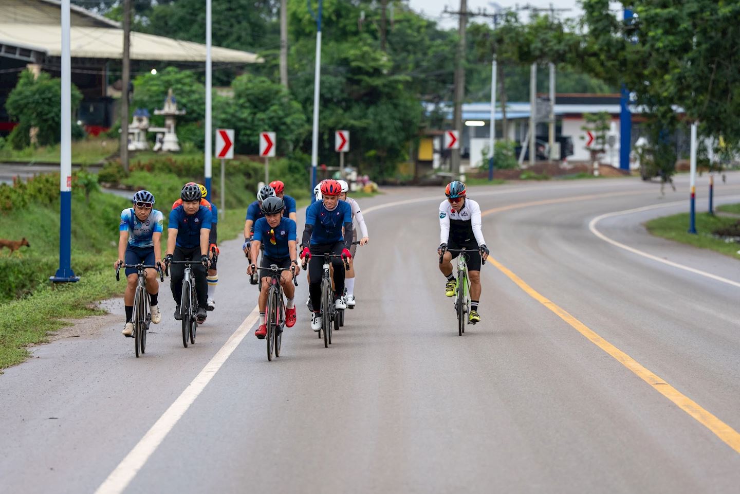 bike to the rock