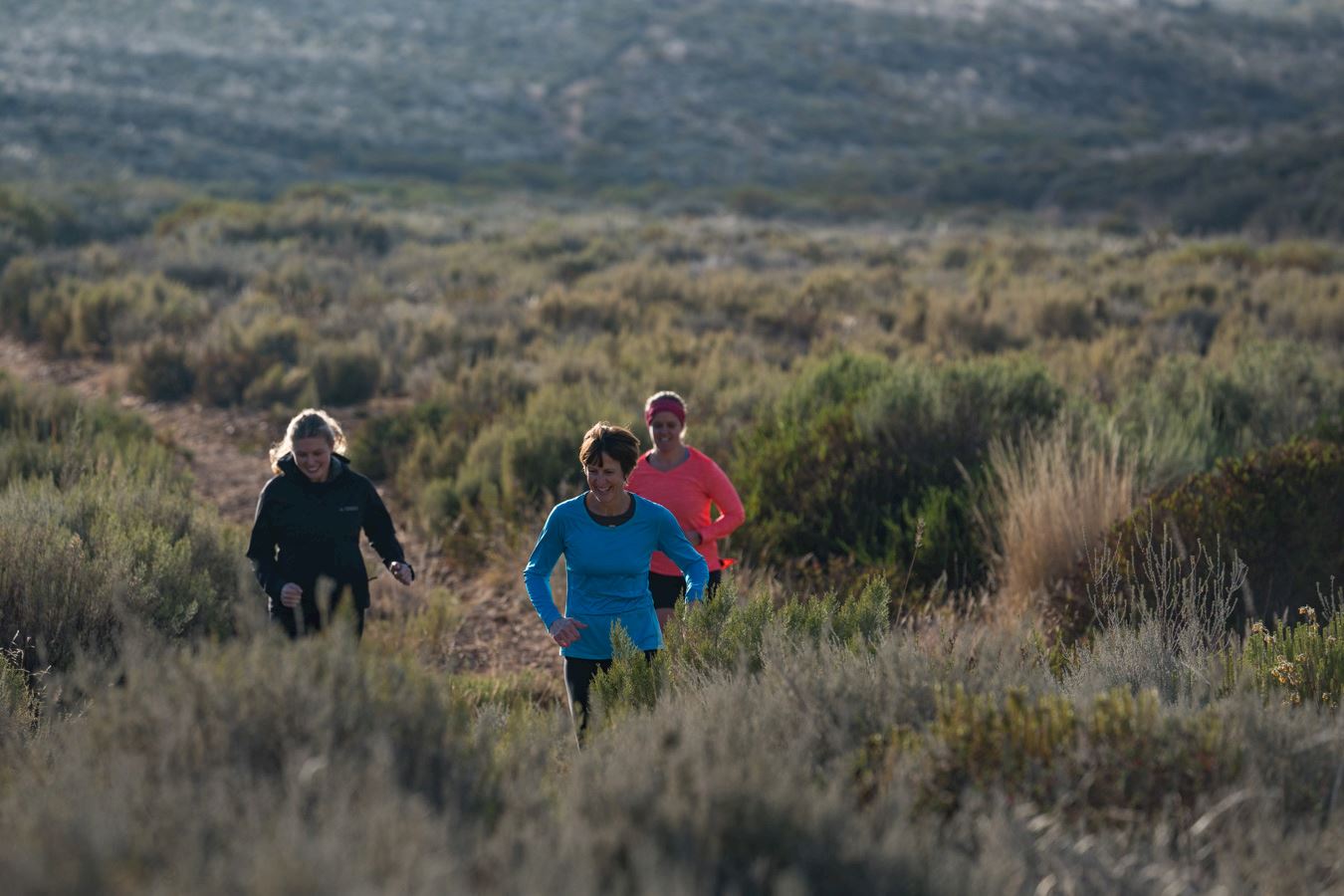 black mountain ultra