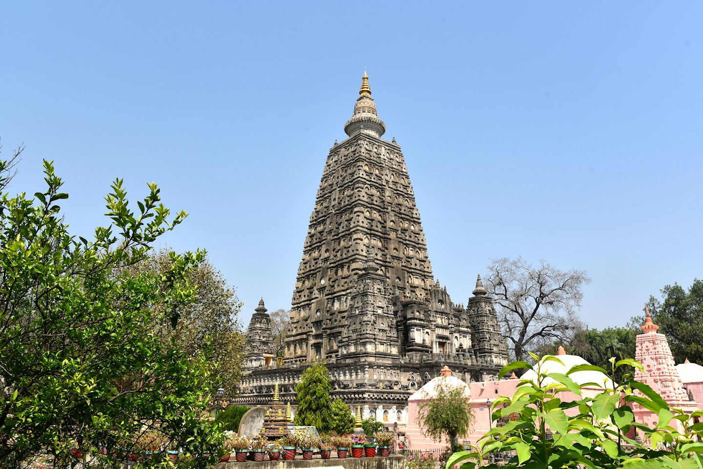 bodhgaya marathon run for global peace