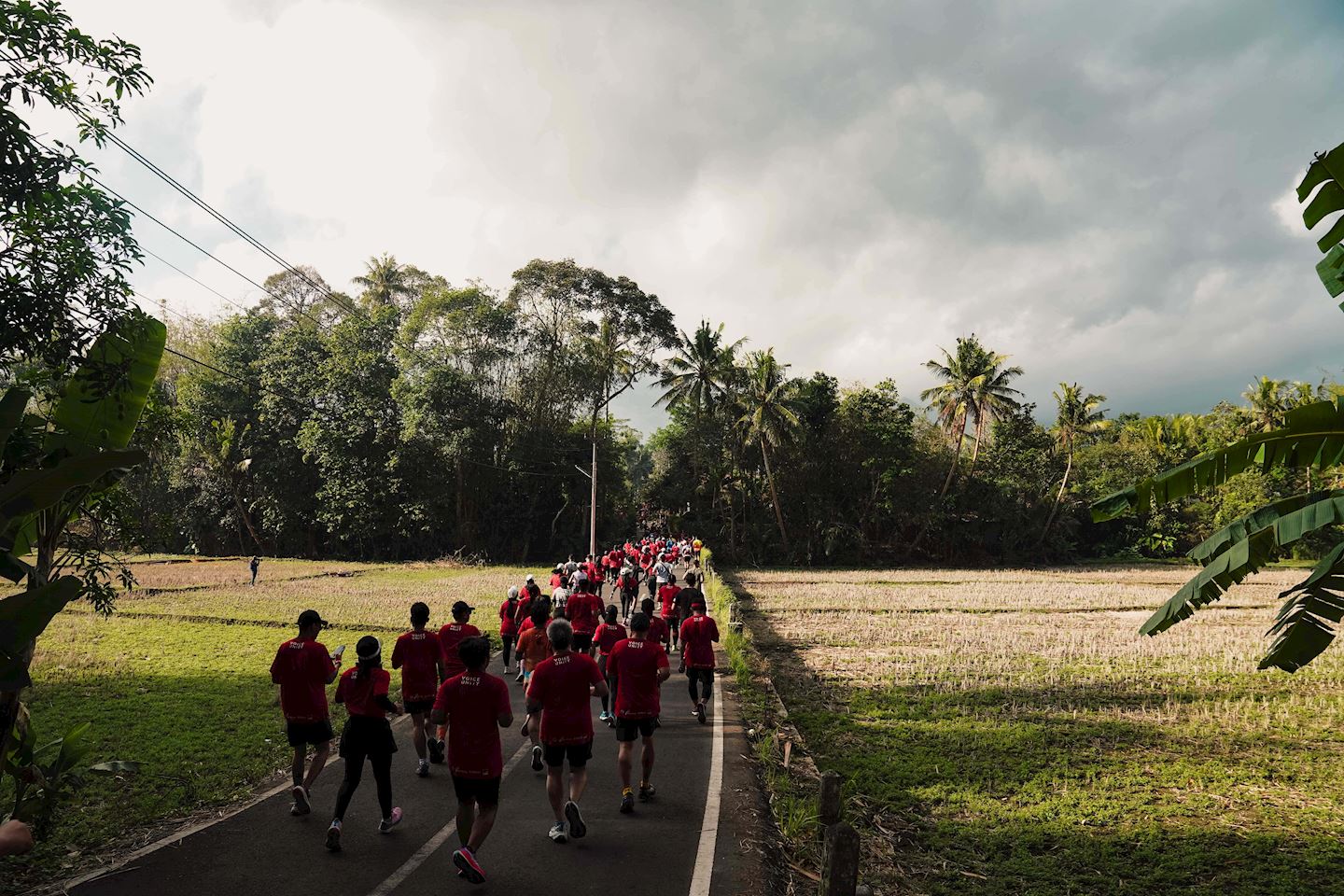 borobudur marathon