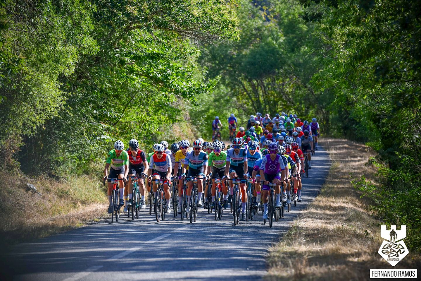 braganca granfondo