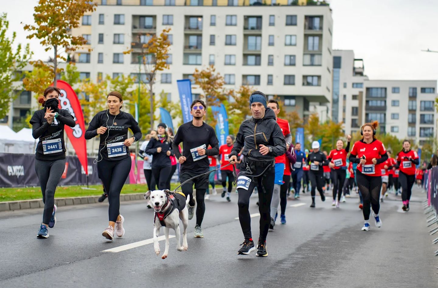 brasov running festival 10k elite label