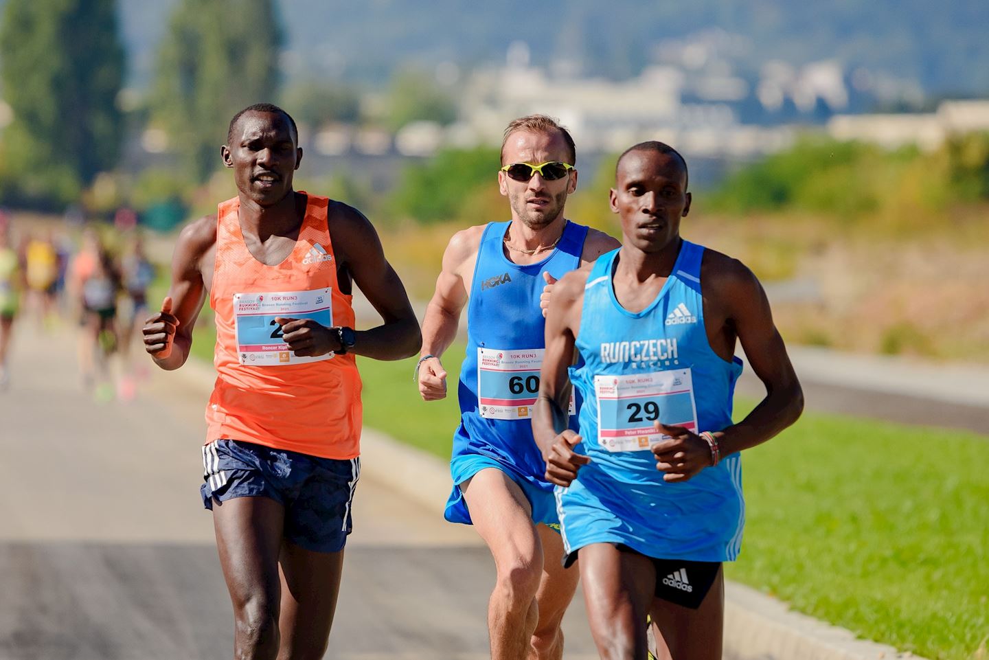 brasov running festival 10k elite label