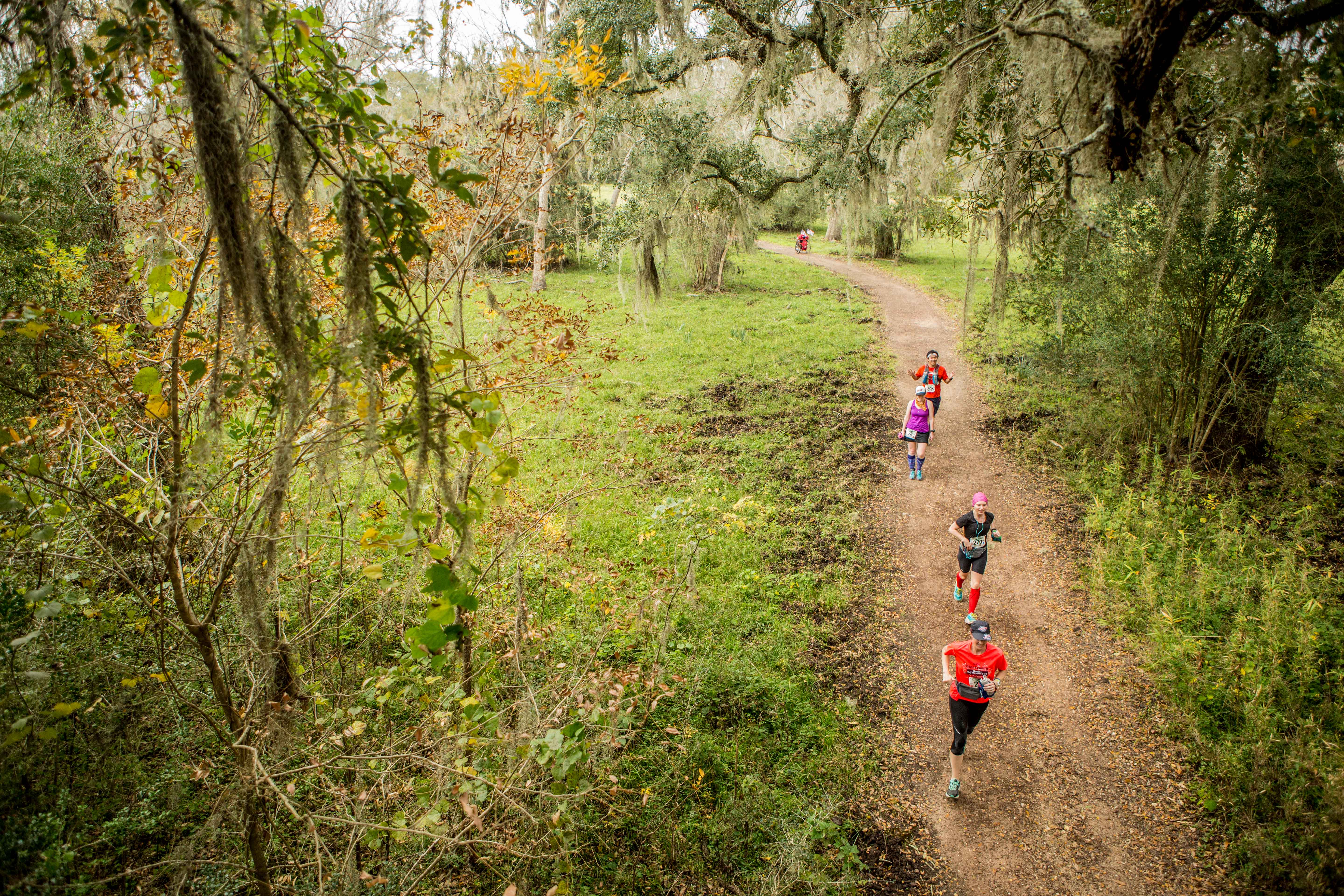 brazos bend 100