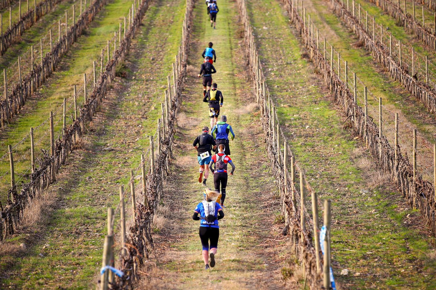 brunello crossing