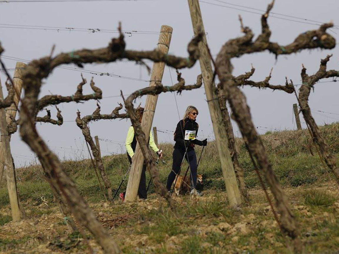 brunello crossing