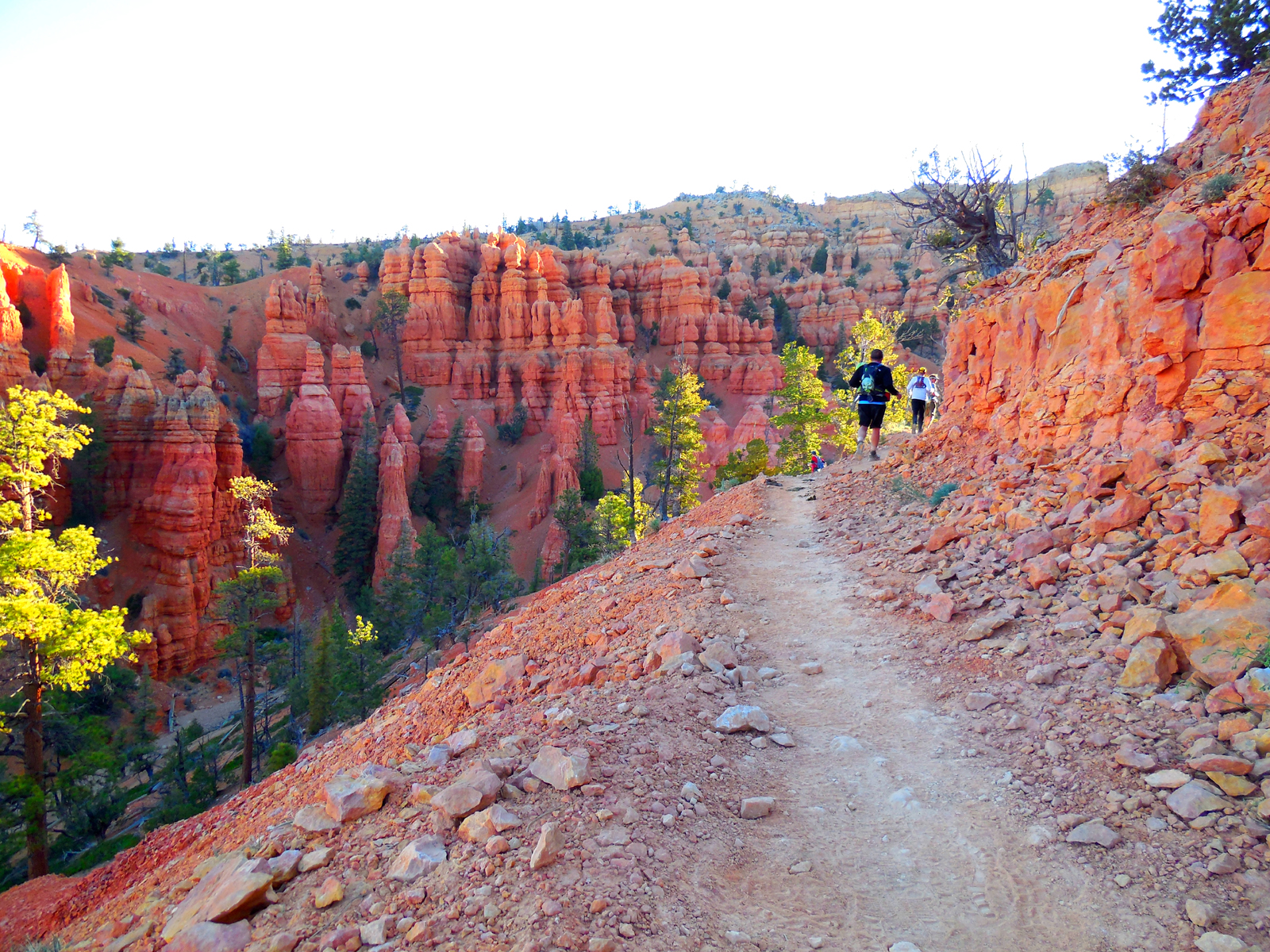 bryce canyon half marathon